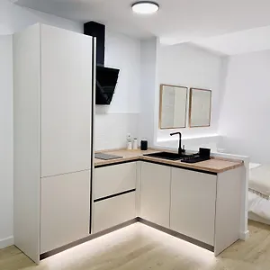  Apartamento Loft Carlos Iii L1a
